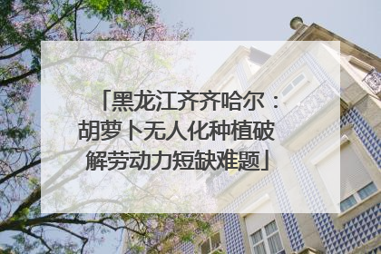 黑龙江齐齐哈尔：胡萝卜无人化种植破解劳动力短缺难题